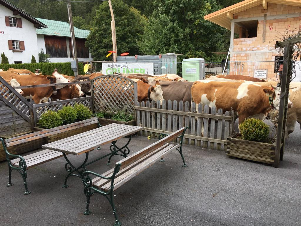 Pension Und Apartments Landhaus Marie Leutasch Zewnętrze zdjęcie